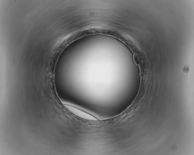 X0000092250822200709141003