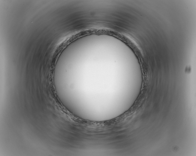 X0000092250823200709141003