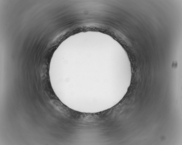 X0000092250824200709141003