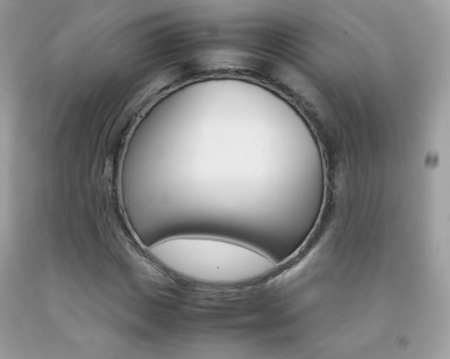 X0000092250825200709141003