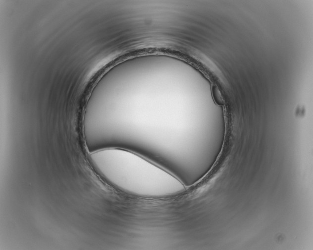X0000092250826200709141003