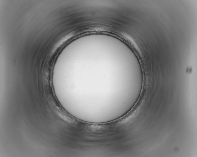 X0000092250827200709141004