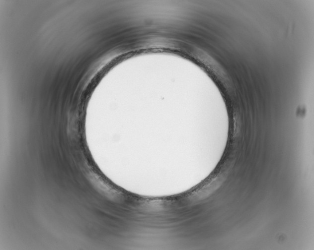 X0000092250828200709141004