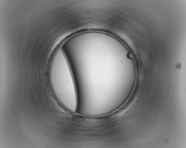 X0000092250829200709141004