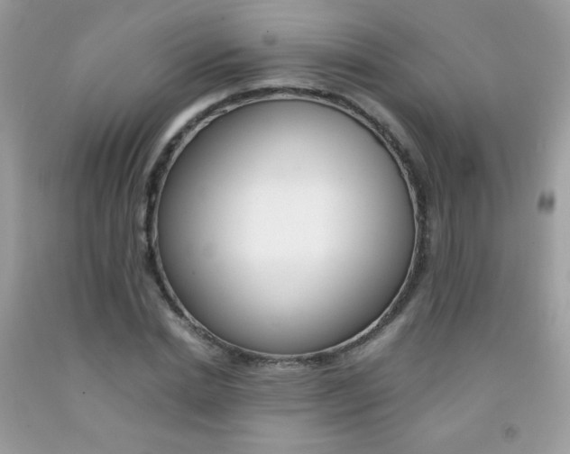 X0000092250830200709141004