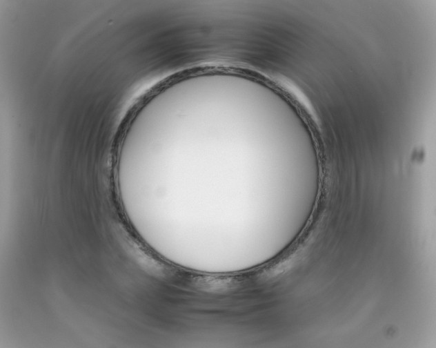 X0000092250831200709141004