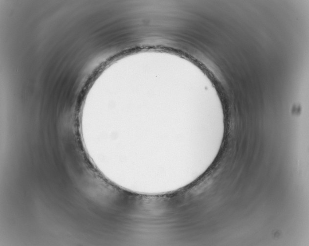X0000092250832200709141004