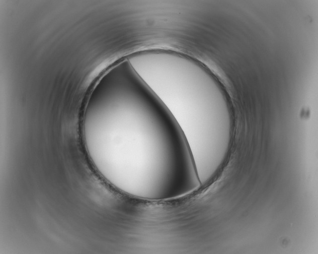 X0000092250834200709141004