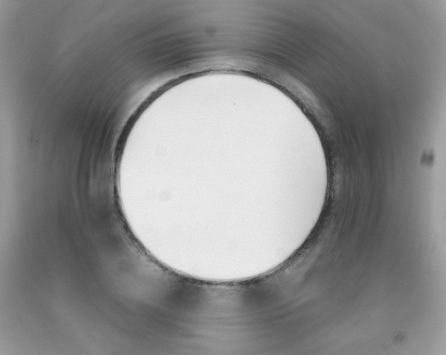 X0000092250836200709141004