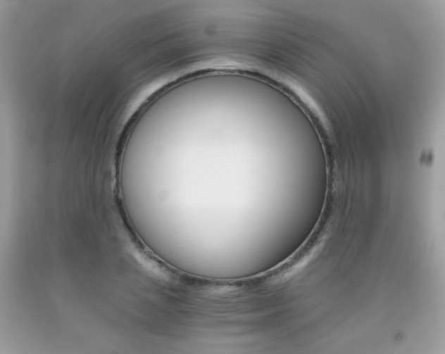 X0000092250837200709141004
