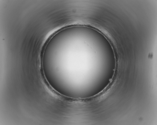 X0000092250838200709141004