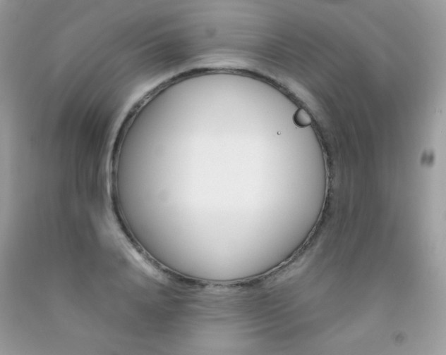 X0000092250840200709141004