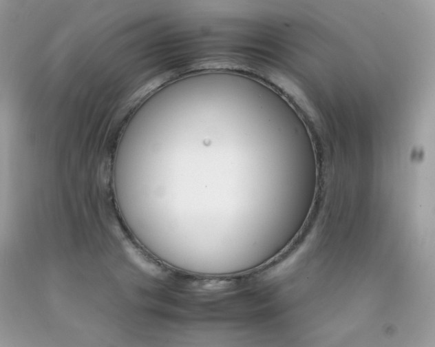 X0000092250841200709141004