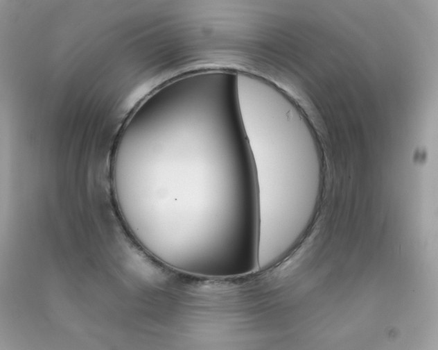 X0000092250842200709141004