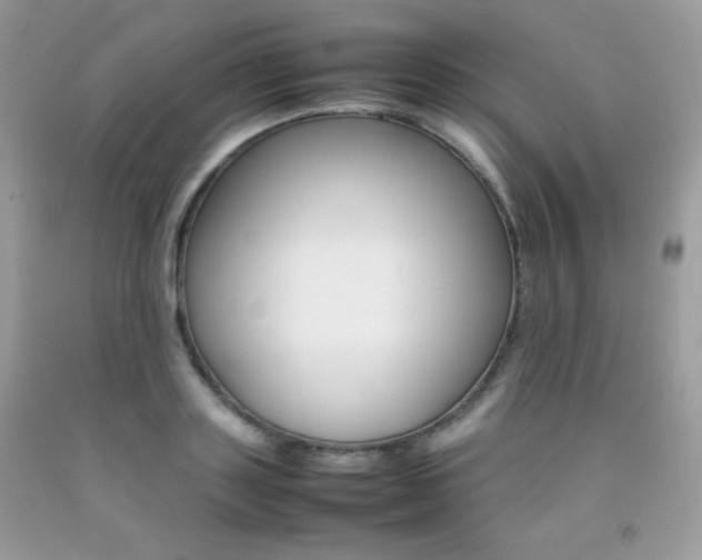 X0000092250843200709141004