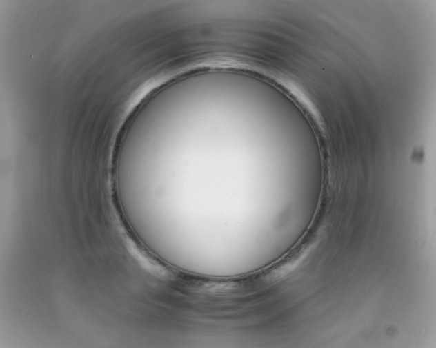 X0000092250845200709141004