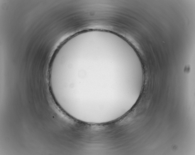 X0000092250848200709141004