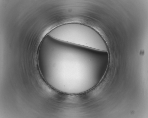 X0000092250850200709141004