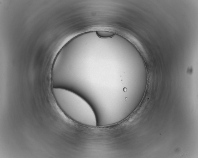 X0000092250852200709141004