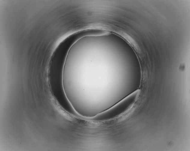 X0000092250854200709141004