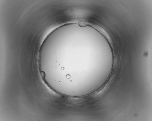 X0000092250855200709141004
