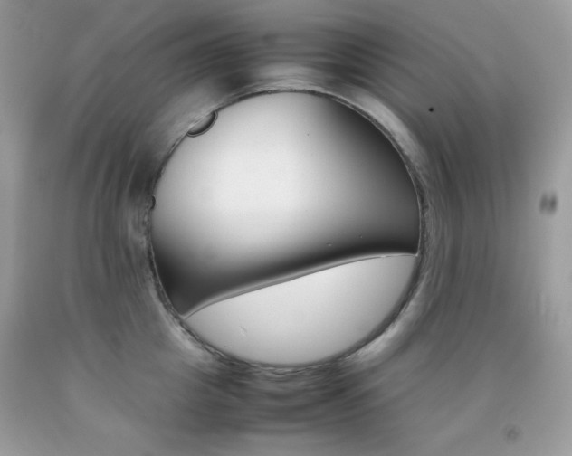 X0000092250857200709141004