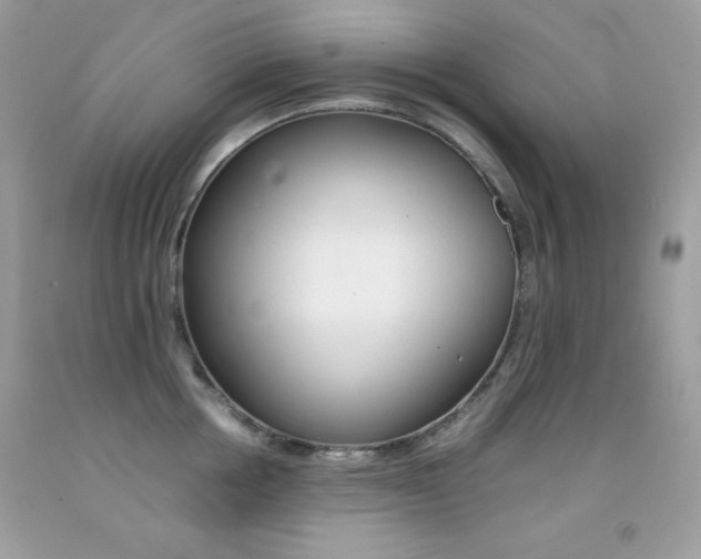 X0000092250858200709141004