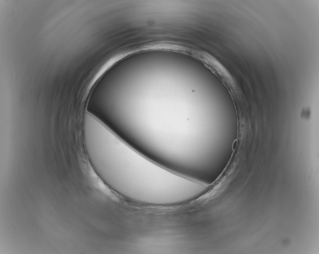 X0000092250860200709141004