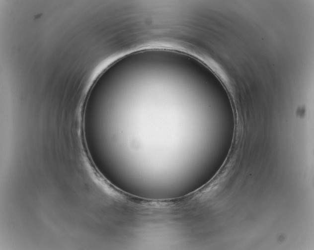 X0000092250862200709141004