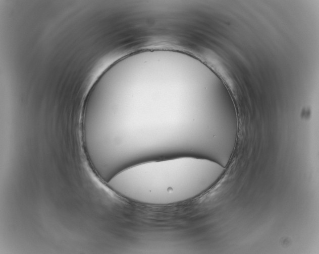 X0000092250863200709141004
