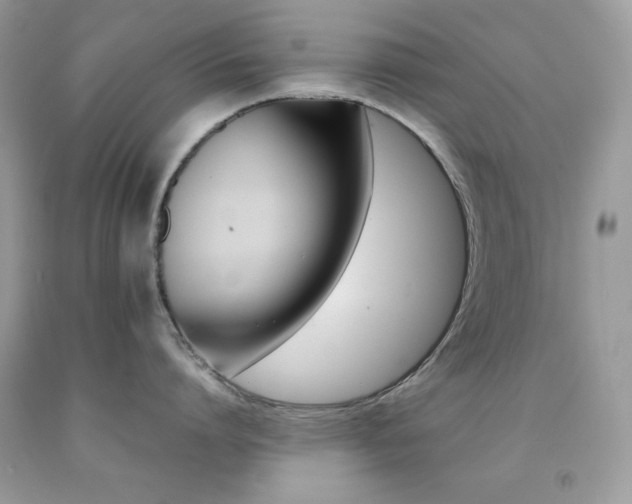 X0000092250864200709141004