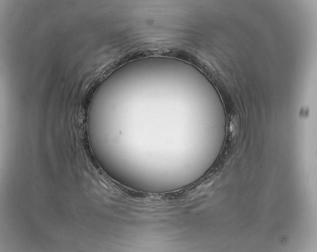 X0000092250867200709141003