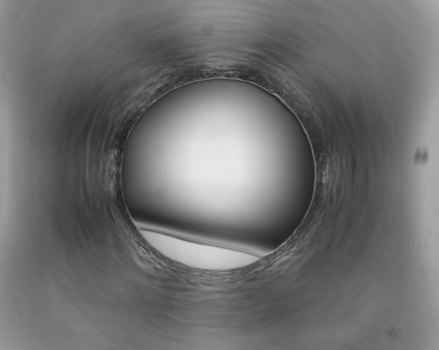 X0000092250868200709141003
