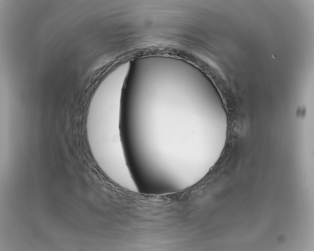 X0000092250869200709141003