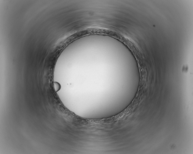X0000092250870200709141003