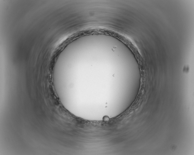 X0000092250871200709141003