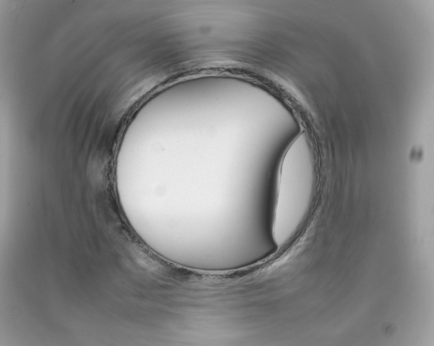 X0000092250873200709141003