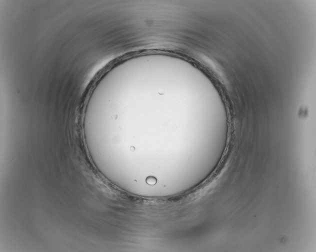 X0000092250875200709141003