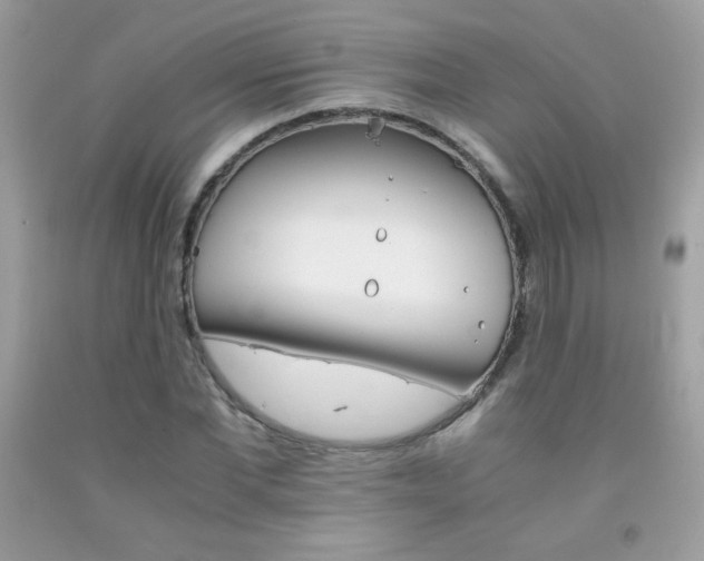 X0000092250877200709141003