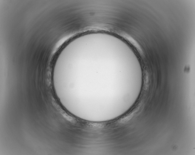 X0000092250878200709141003