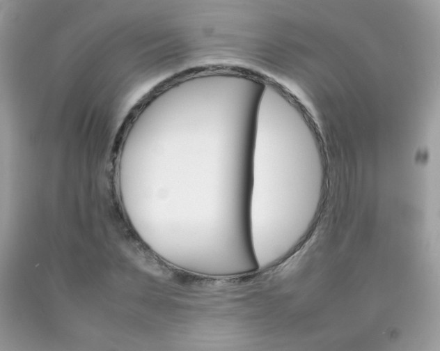 X0000092250879200709141003
