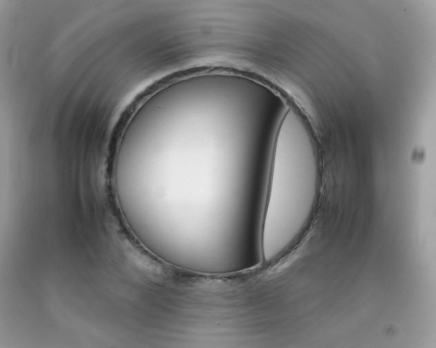 X0000092250880200709141003