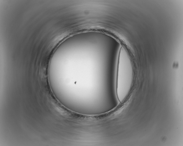 X0000092250881200709141003