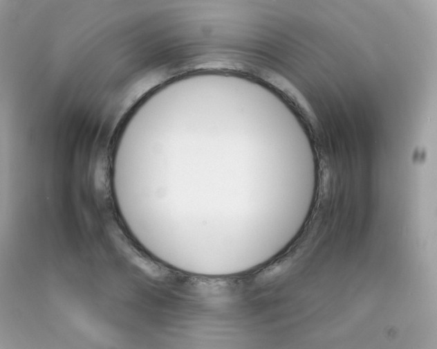 X0000092250882200709141003