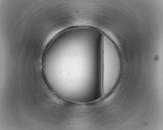 X0000092250885200709141003