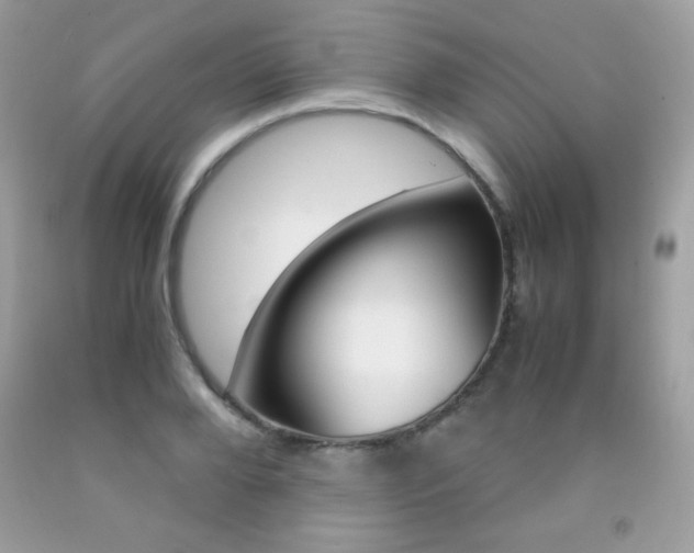 X0000092250888200709141003