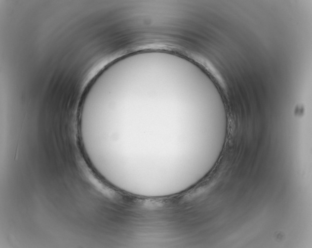 X0000092250890200709141003