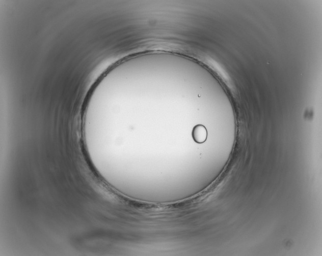 X0000092250891200709141003