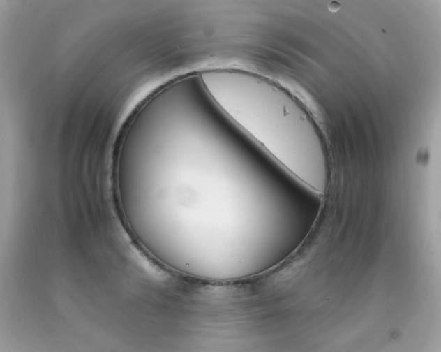 X0000092250894200709141003