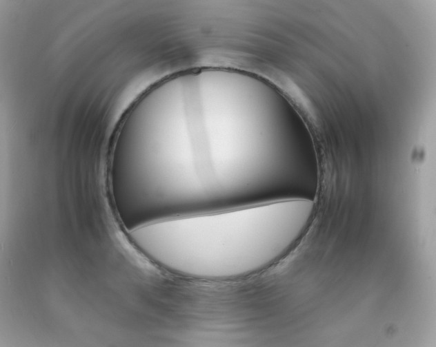 X0000092250896200709141003